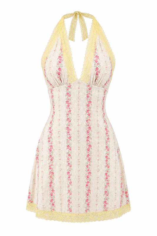 Honey Rose Dress
