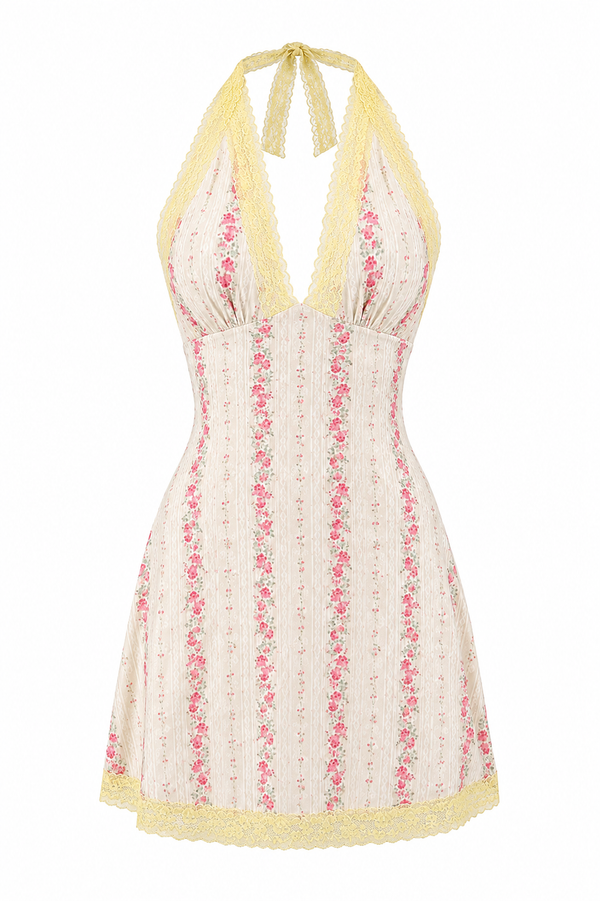 Honey Rose Dress